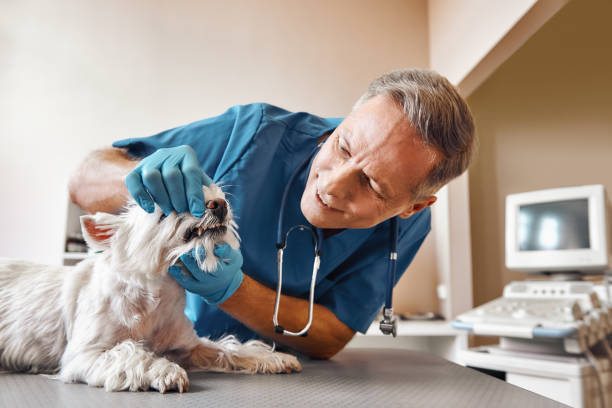 Best Emergency Dental Surgery in Pelican Bay, TX